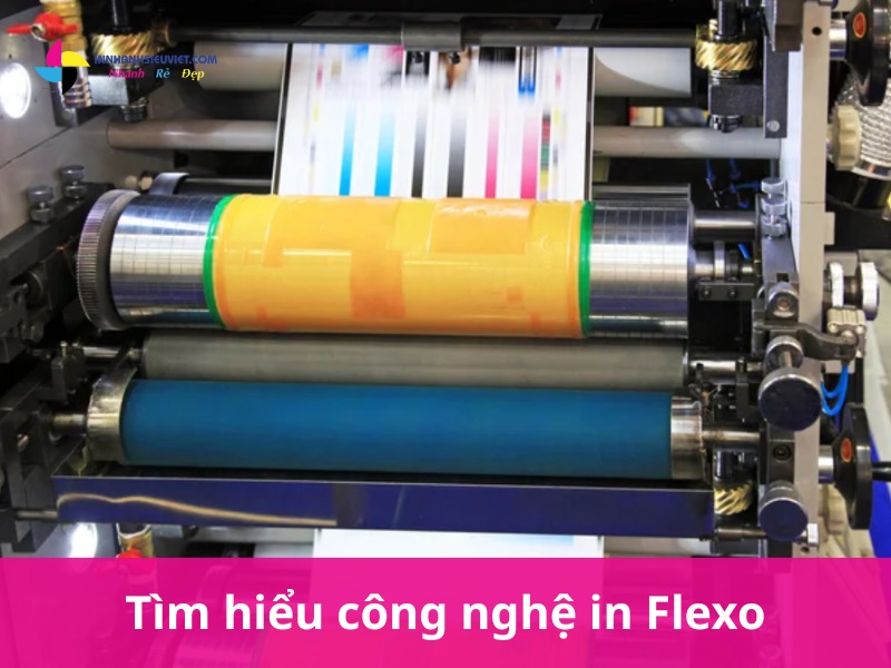In Flexo là gì?