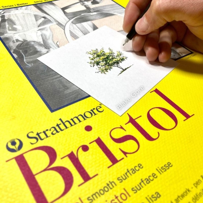 Nguồn gốc và lịch sử của giấy Bristol