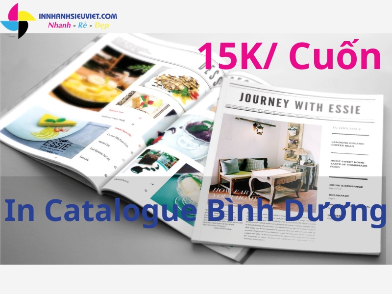 In Catalogue Bình Dương