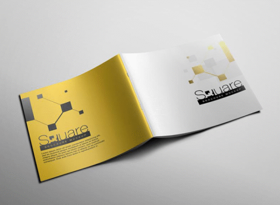 Brochure Là Gì?