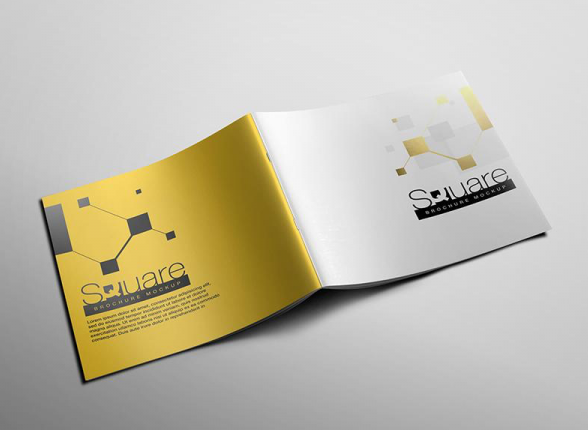 Brochure Là Gì?