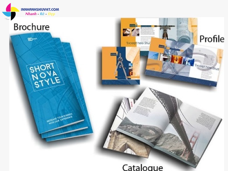 Phân biệt catalogue, brochure và profile công ty