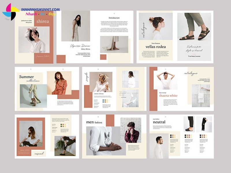 mẫu thiết kế catalogue sản phẩm