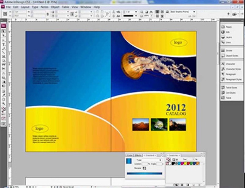 thiết kế catalogue với CorelDraw