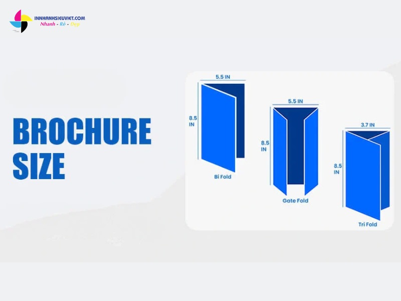 Chọn đúng kích thước Brochure chuẩn