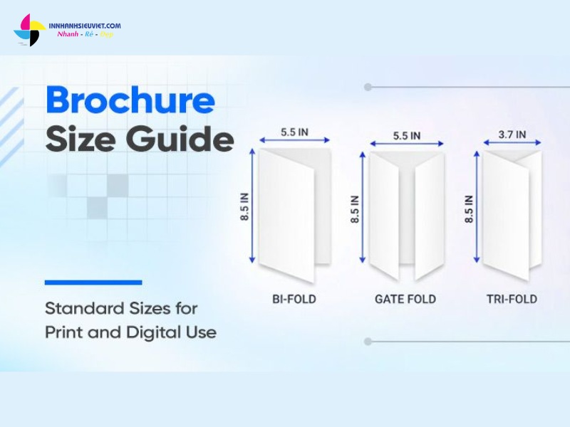 Tại sao kích thước Brochure lại quan trọng